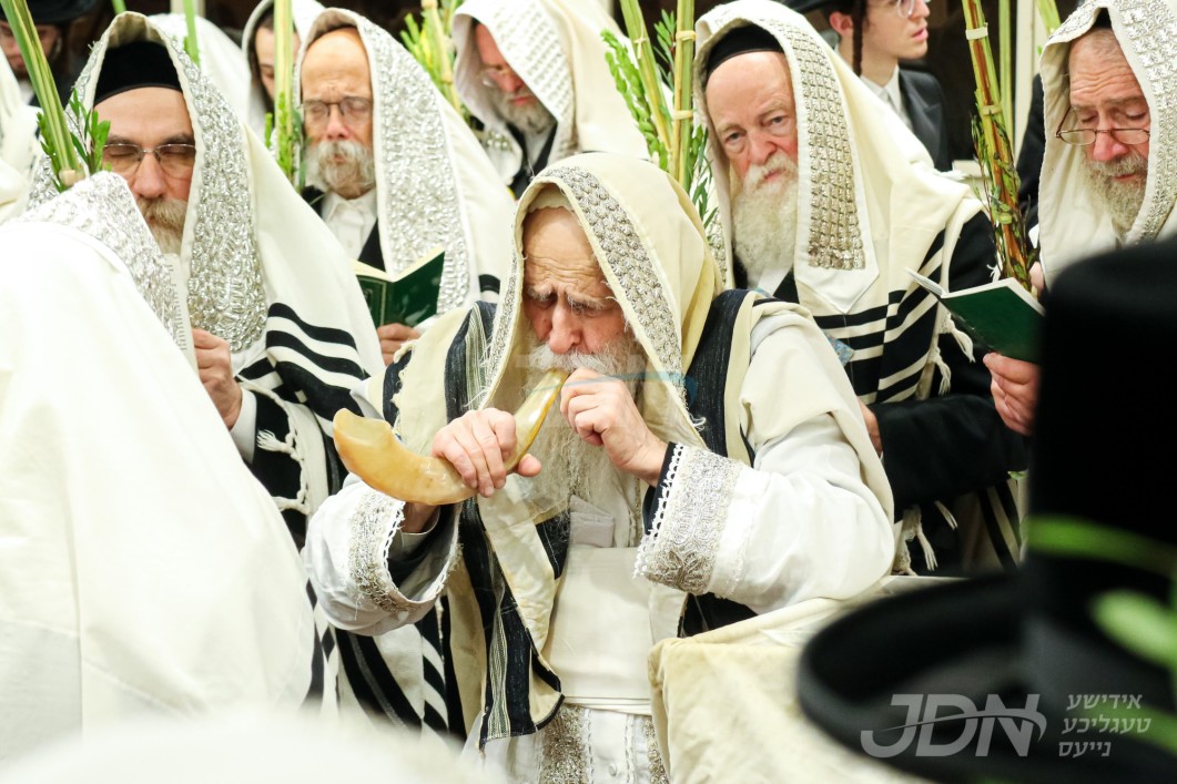 סוכות אין חצר הקודש בית חיים יהושע