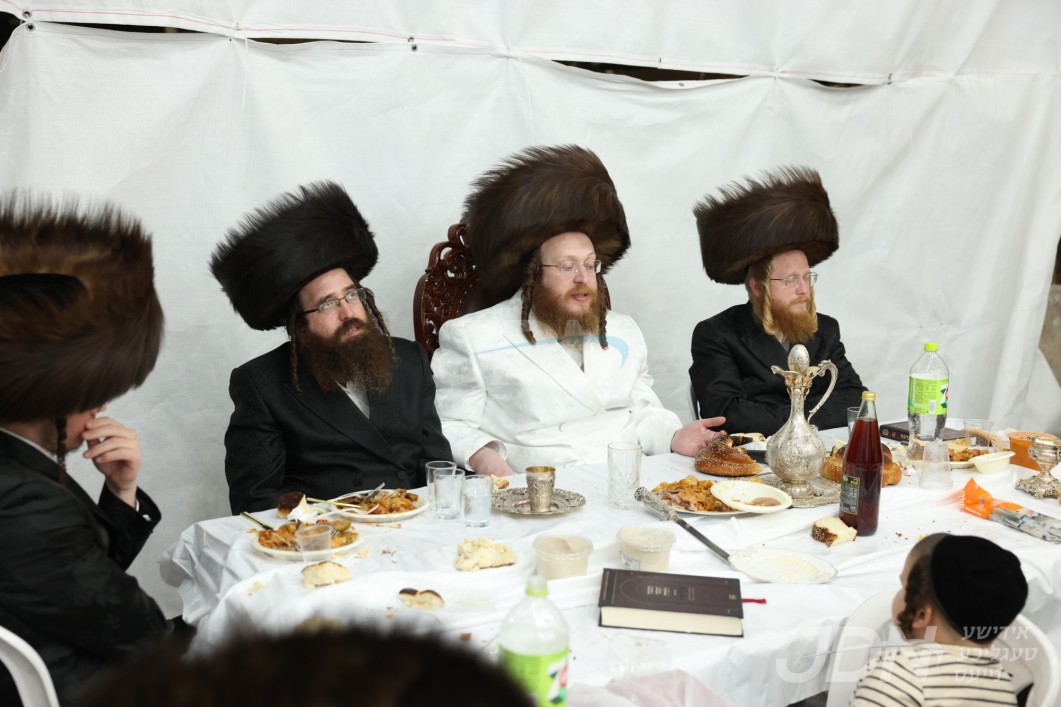 סוכות אין חצר הקודש ספינקא בית שמש