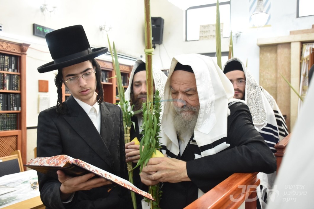 סוכות אין חצר הקודש אשלאג