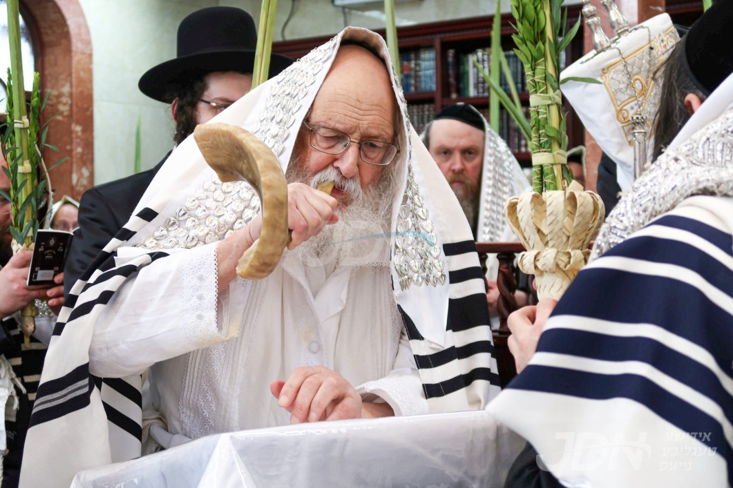 סוכות אין חצר הקודש הארדענקא