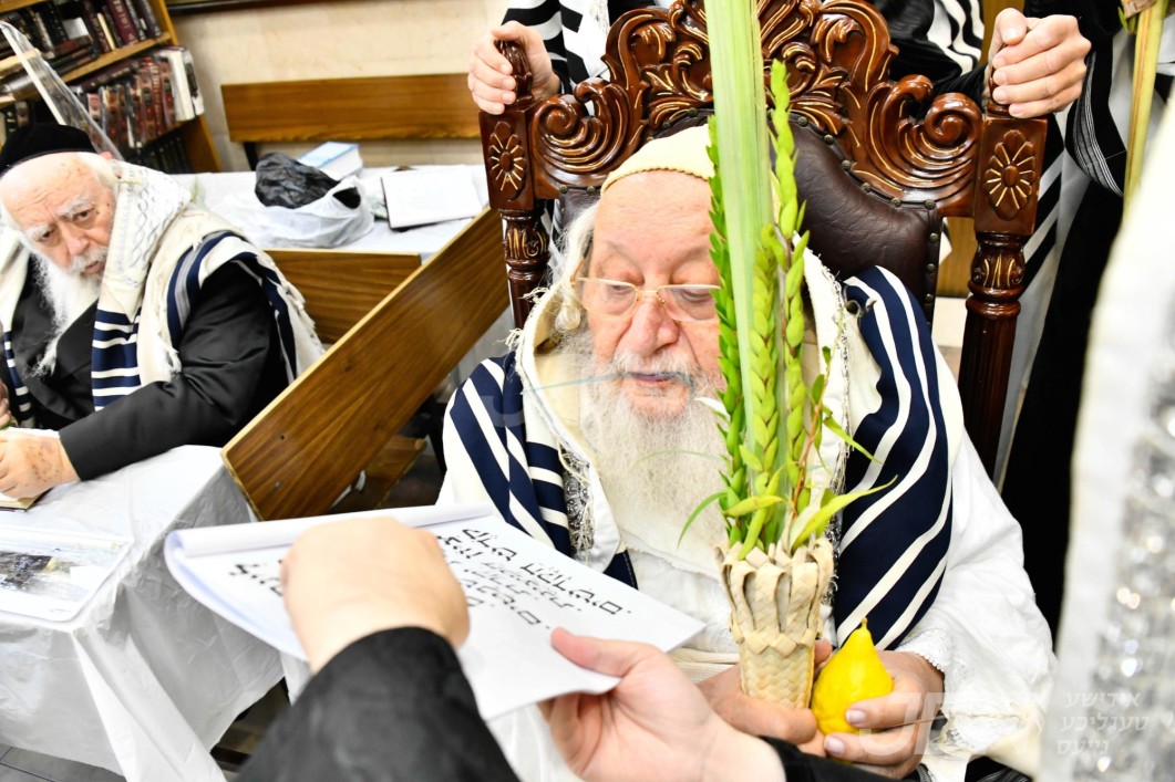 סוכות אין חצר הקודש נאראל