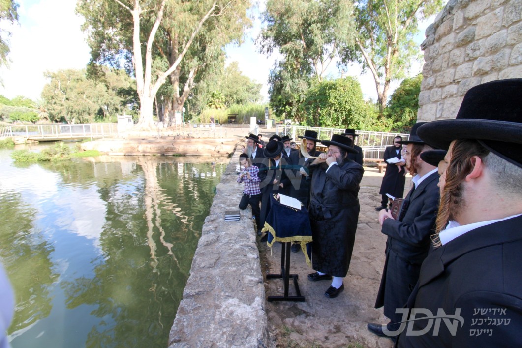 האדמו&quot;ר מצאנז זמיגראד בני ברק ביי תשליך