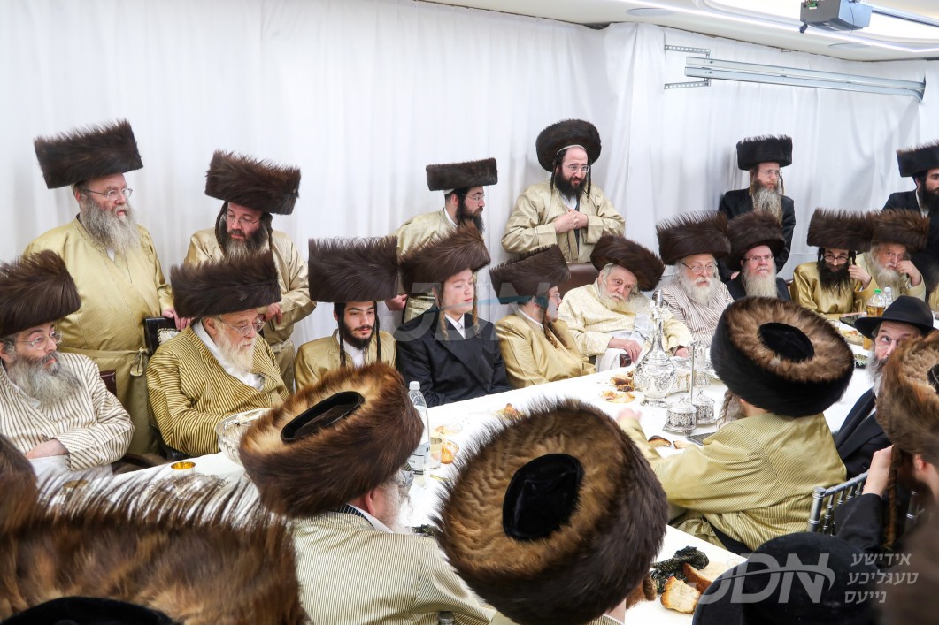 תולדותיהם של צדיקים: התרגשות'דיגע שבע ברכות בחצרות האחים פון תולדות אברהם יצחק, תולדות אהרן, און נחלת אהרן