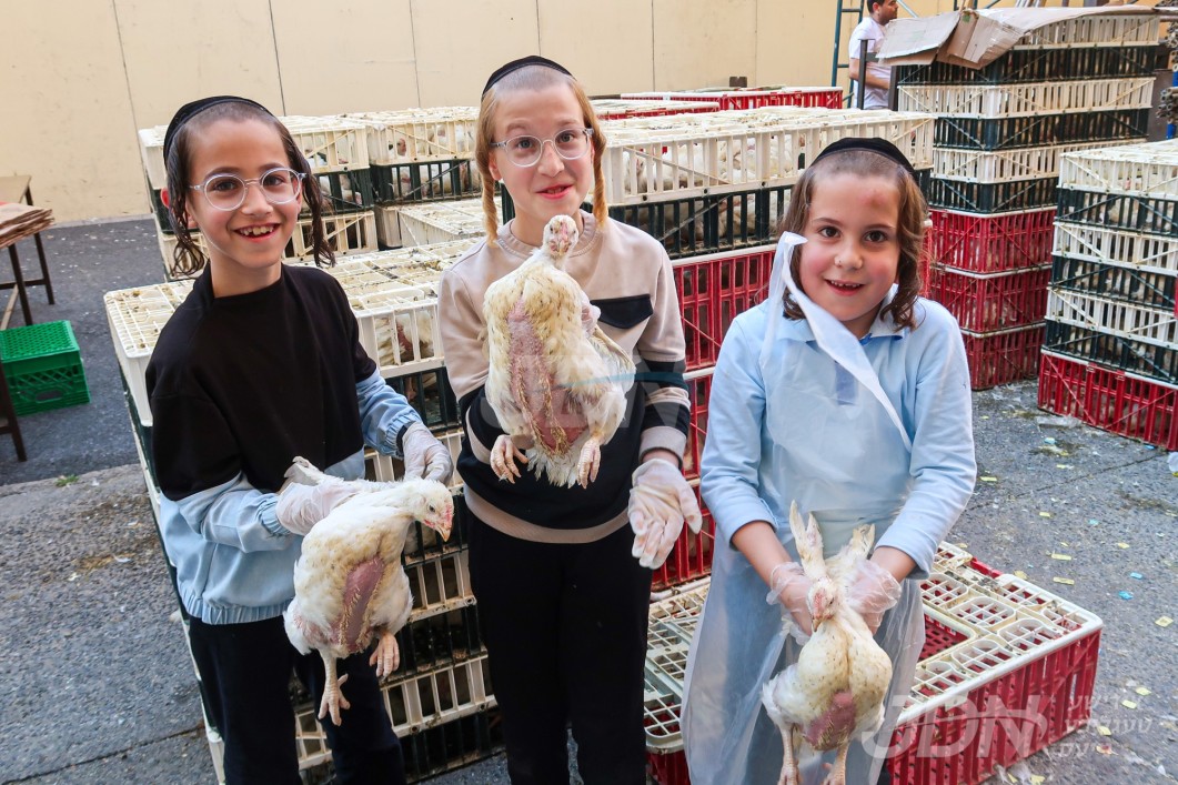 אידן אין וויליאמסבורג ביים שלאגן כפרות