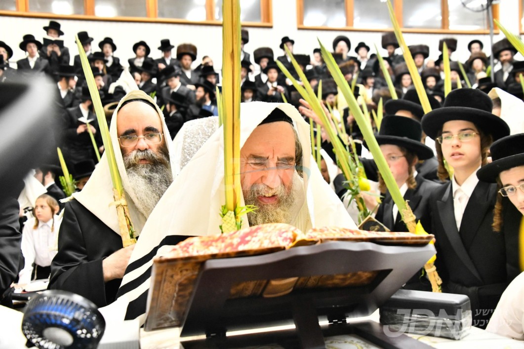 סוכות אין חצר הקודש ראחמיסטריווקא