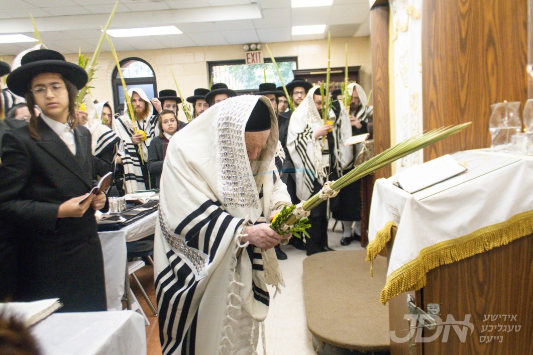 סוכות אין חצר הקודש צאנז זמיגראד