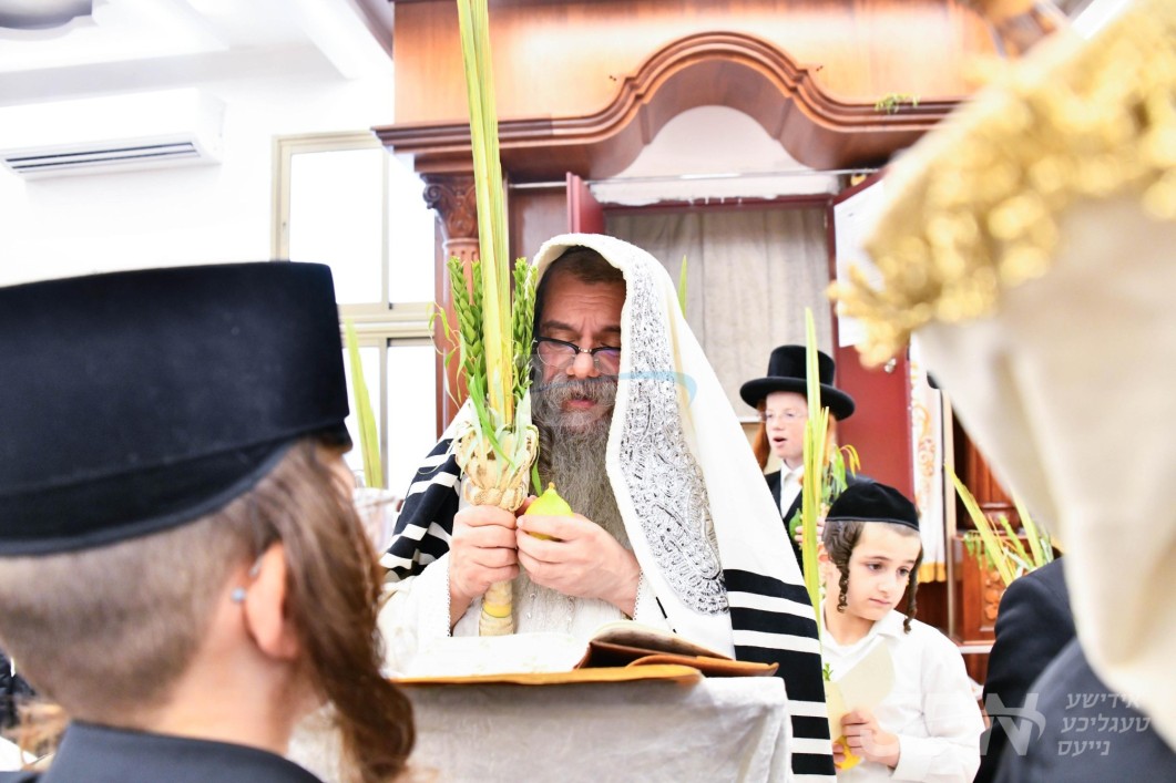 סוכות אין חצר הקודש קוידינוב