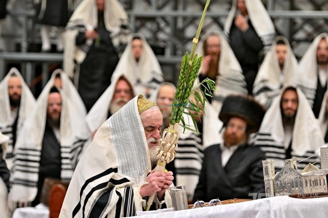 סוכות אין חצר הקודש וויזניץ