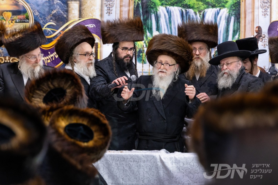 סוכות אין חצר הקודש סערדאהעלי