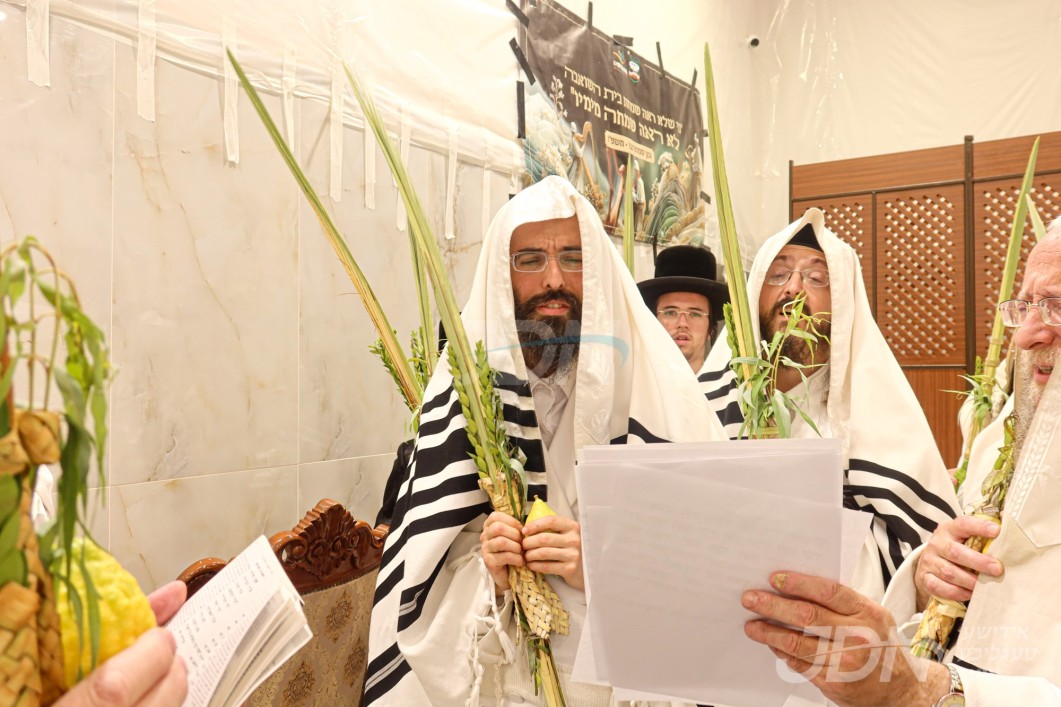 סוכות אין חצר הקודש זוועהיל