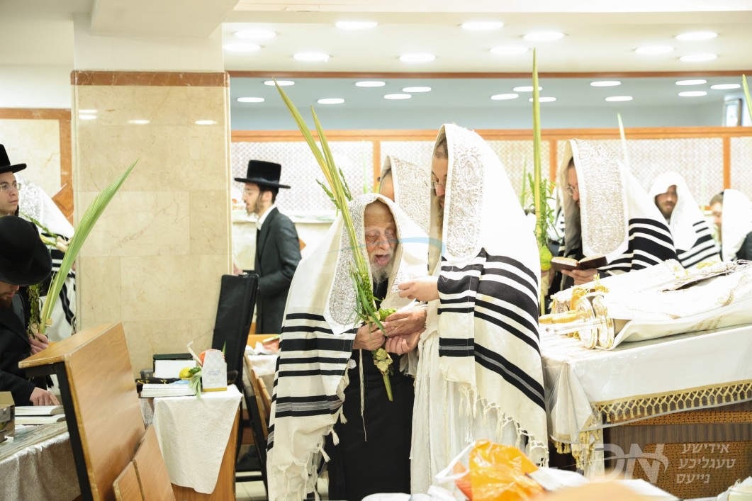 סוכות אין חצר הקודש קאפיטשניץ