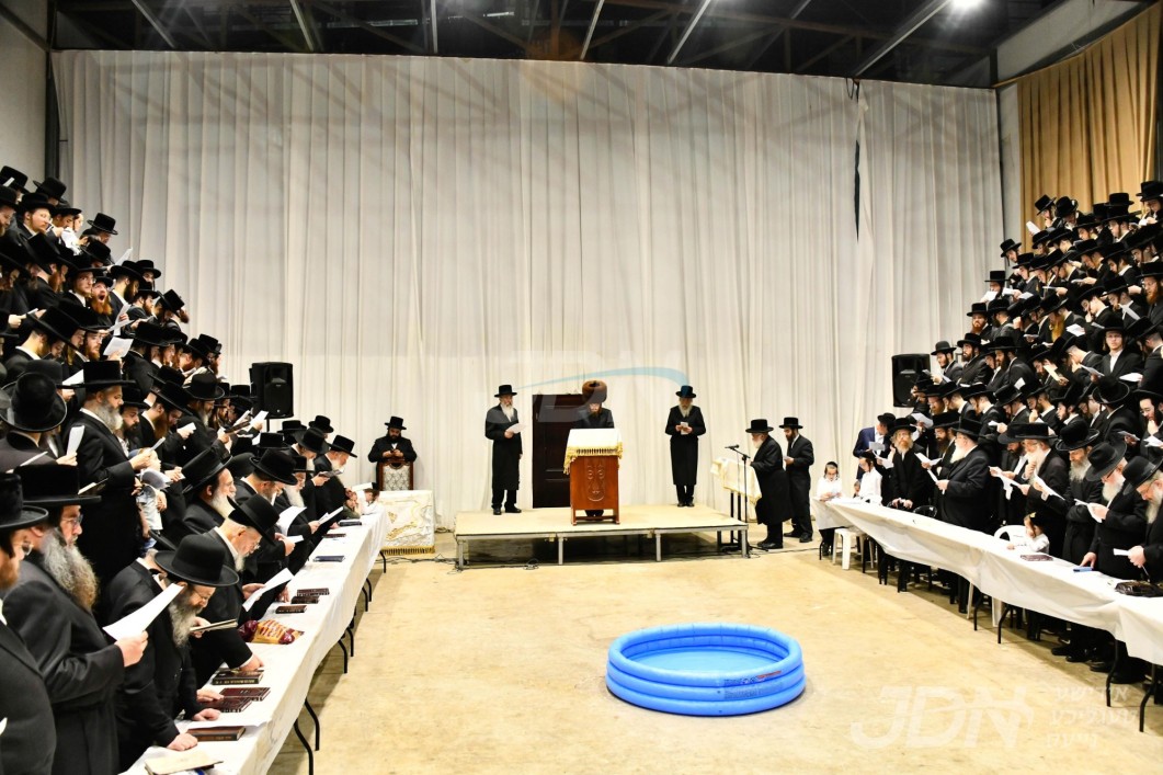 ווידעא: האדמו&quot;ר מסאדיגורה ביי תשליך