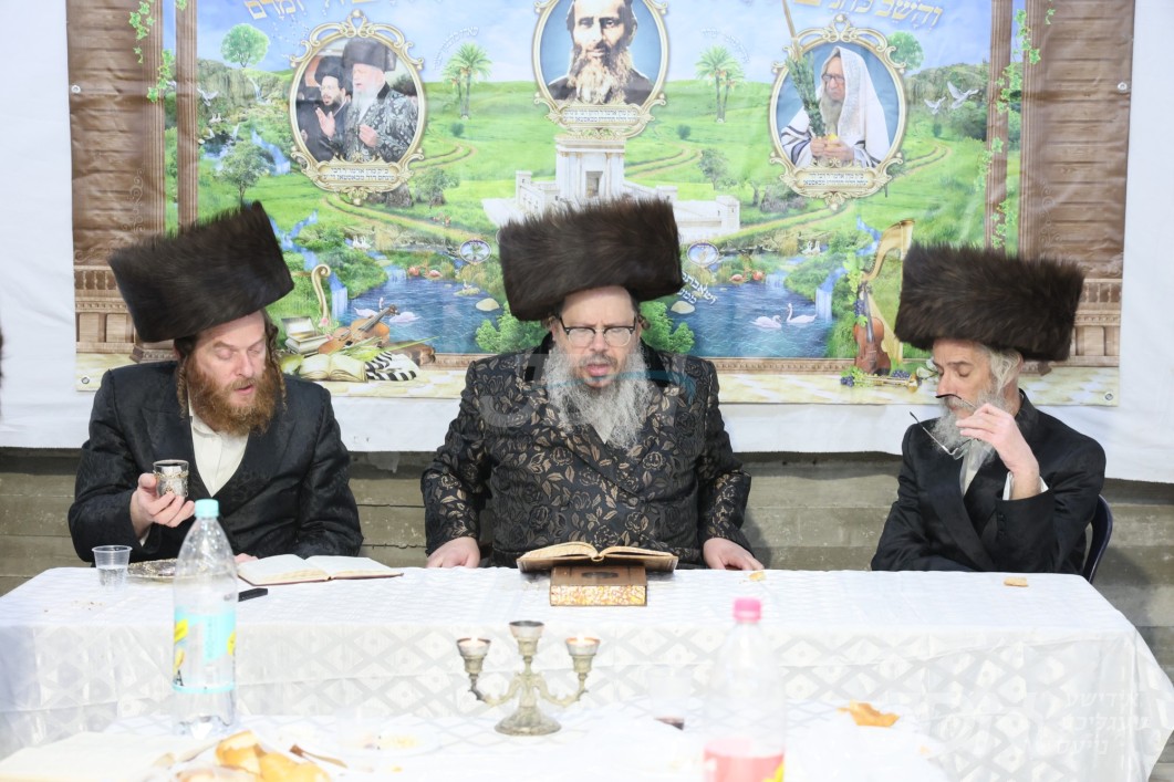 סוכות אין חצר הקודש באסטאן ביתר