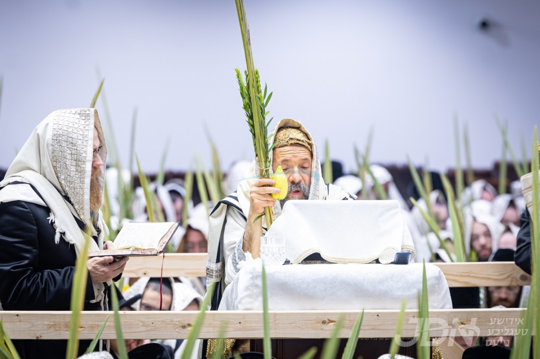 סוכות אין חצר הקודש באבוב-45