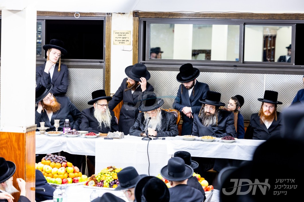 האדמו"ר מסטאניסלאוו ביים חמשה עשר בשבט טיש