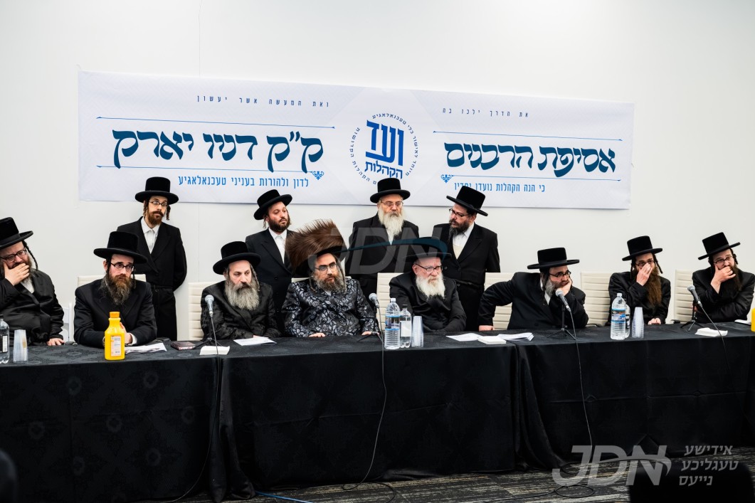 בניו הגדולים פון גדולי האדמורי"ם ביי א געמיינזאמע זיצונג בעניני טעכנעלאגיע