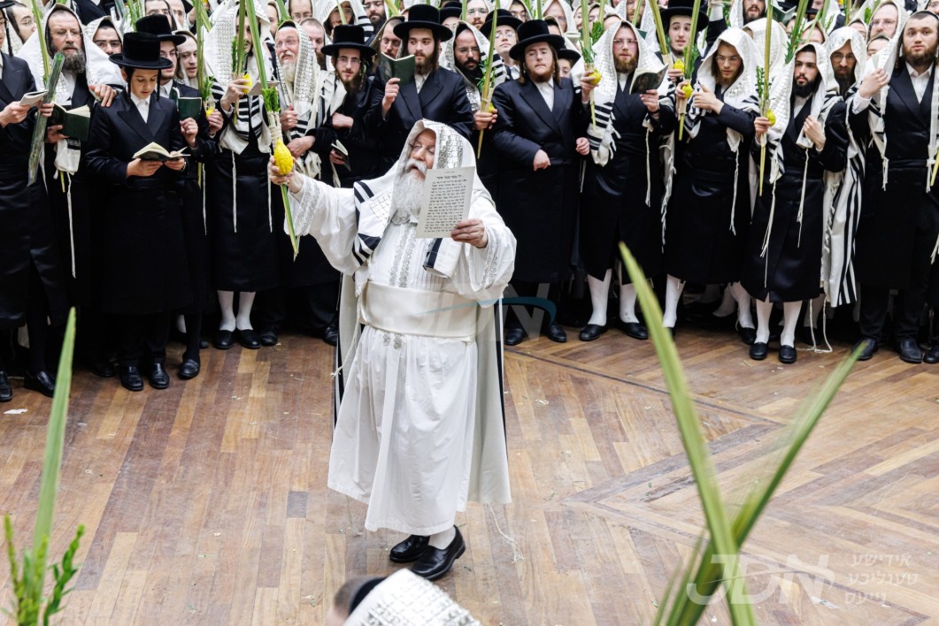 סוכות אין חצר הקודש באבוב