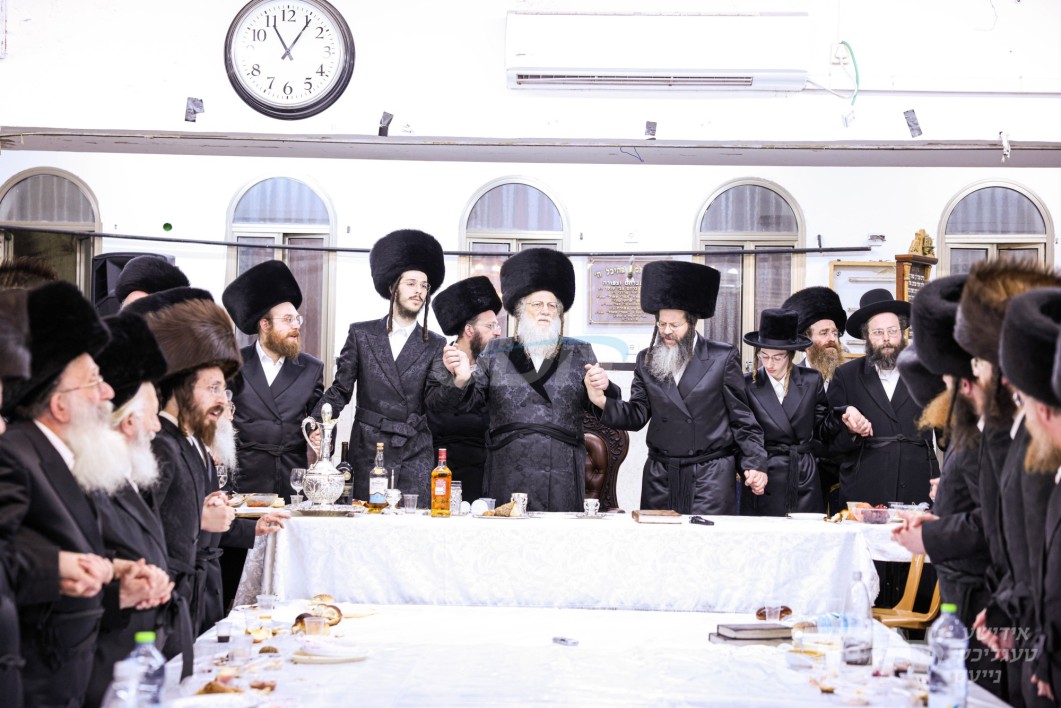 שמחת השבע ברכות פון אן אייניקל פון האדמו"ר ממאדזיץ