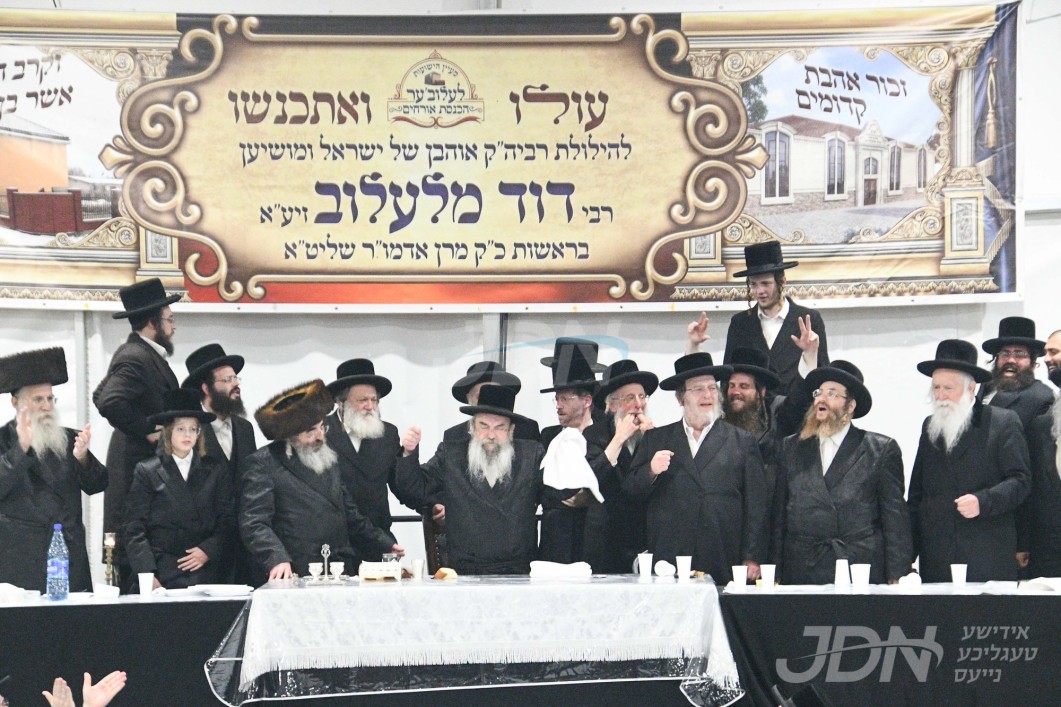 יארצייט פון הרה"ק רבי דוד מלעלוב זי"ע ביי האדמו"ר מלעלוב אין לעלוב, פולין