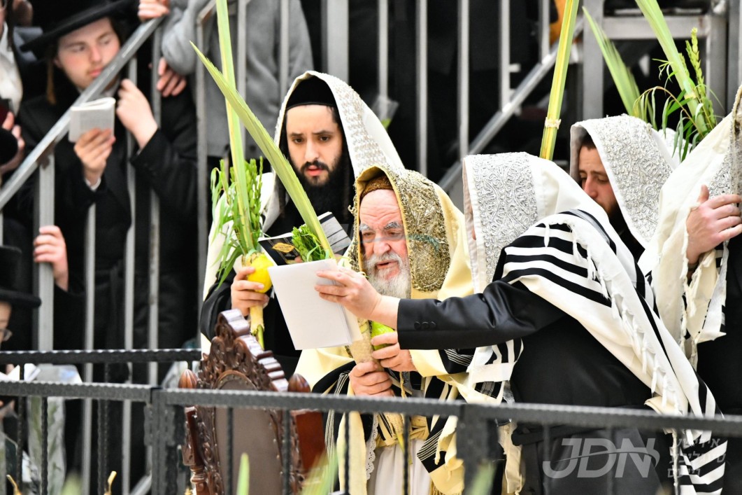 סוכות אין חצר הקודש וויזניץ