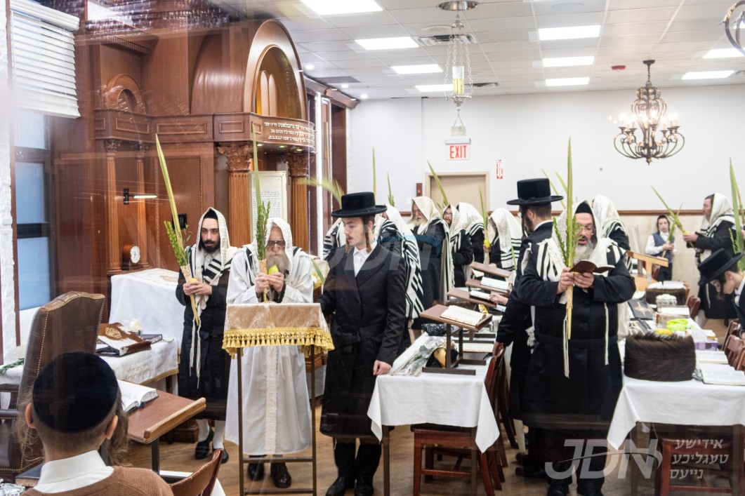 סוכות אין חצר הקודש קאשוי