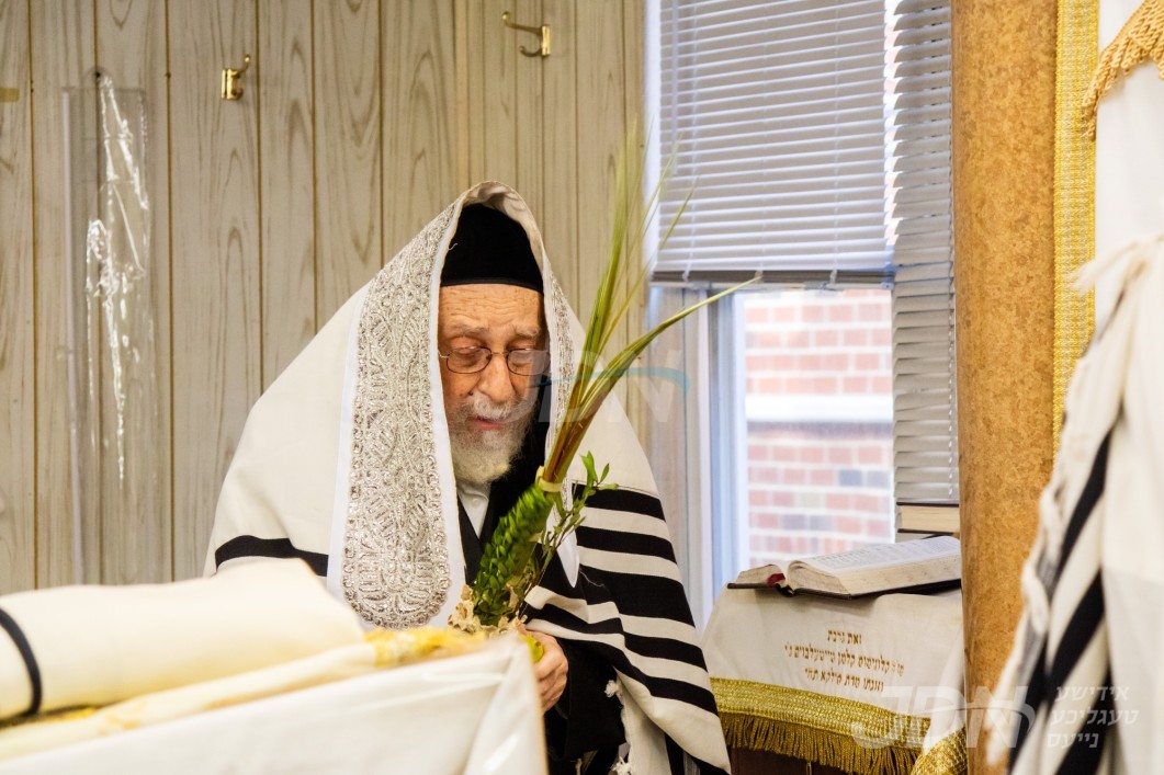 סוכות אין חצר הקודש ליסקא