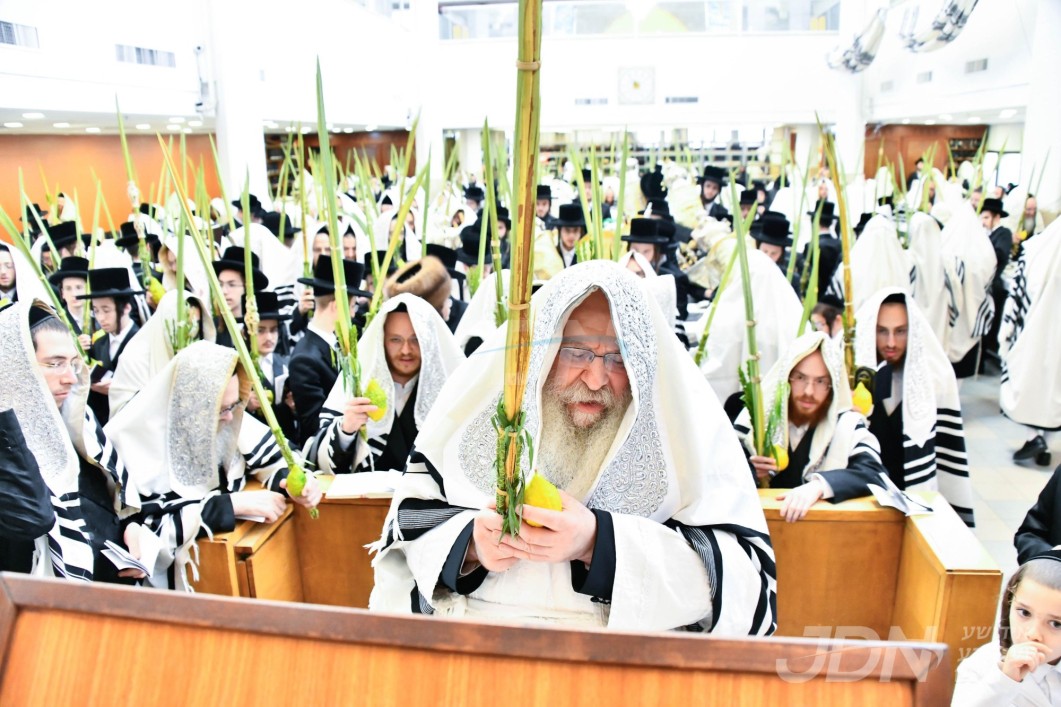 סוכות אין חצר הקודש נדבורנה