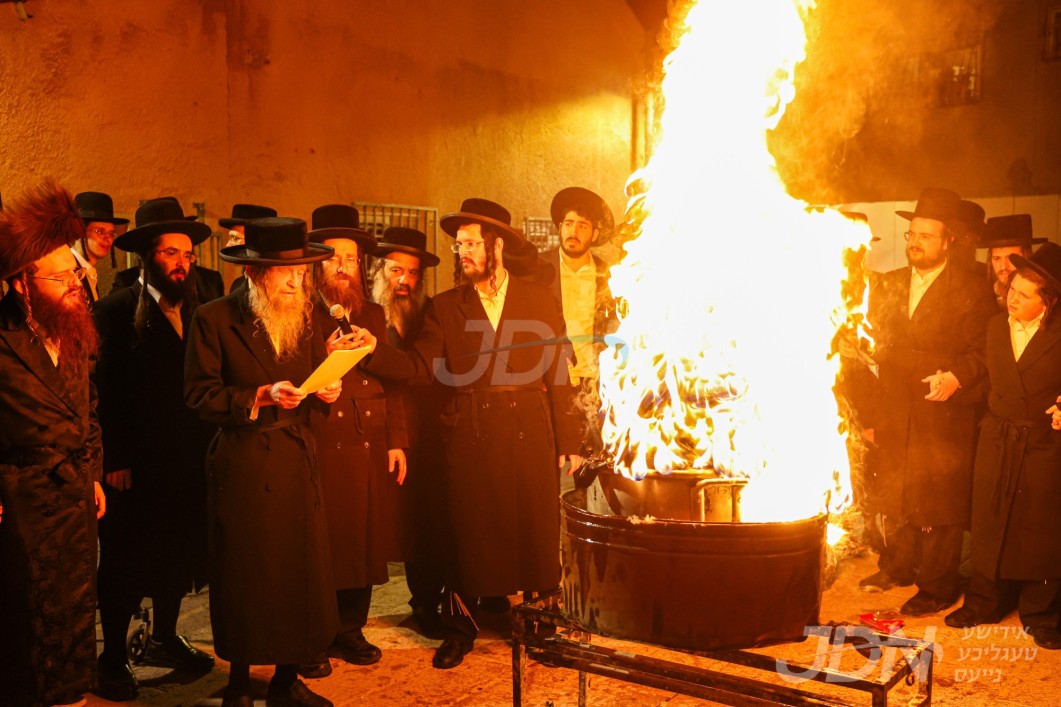 האדמו&quot;ר מלעלוב ניקלשבורג ביים הדלקה ל&quot;ג בעומר