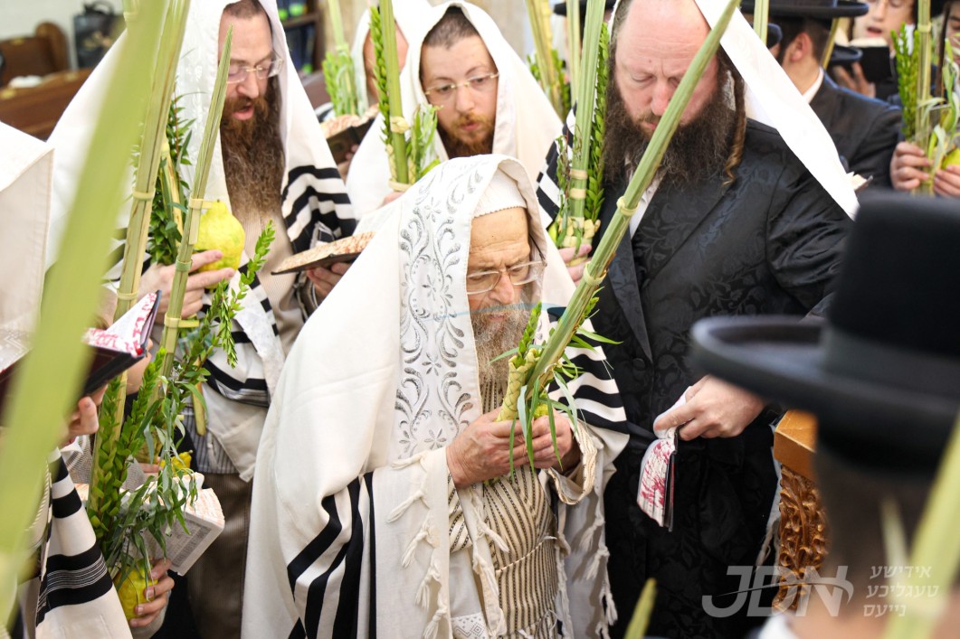 סוכות אין פינסק קארלין