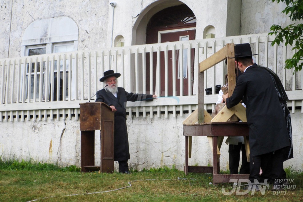 מעמד שחיטת הכבש אין מחנה מתיבתא נחלת יעקב וויען