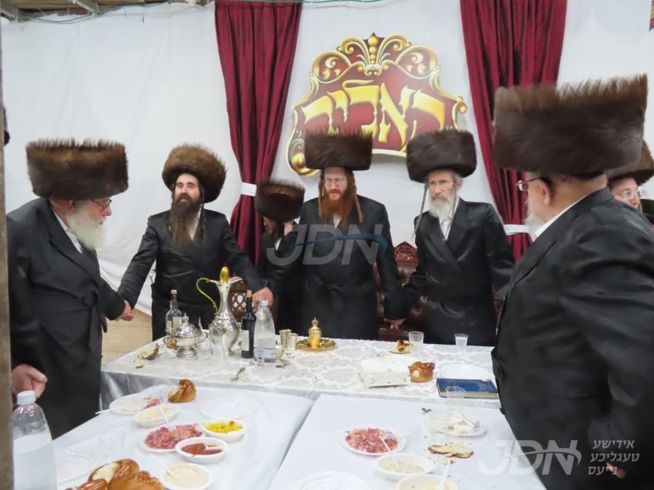 סוכות אין חצר הקודש קאליב