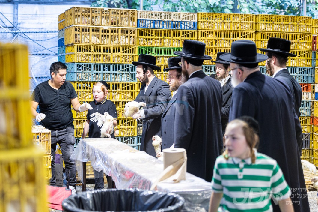 אידן אין בארא פארק ביים שלאגן כפרות