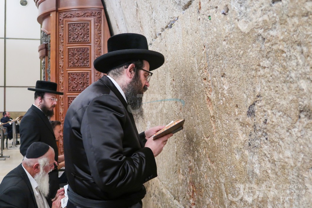 האדמו&quot;ר מזוועהיל באזוכט אין ארה&quot;ק