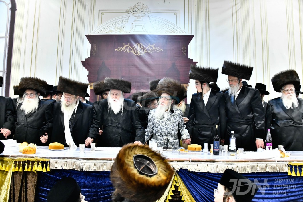 ווידעא: שמחת החתונה בבית מחנובקה בעלזא - מעליץ