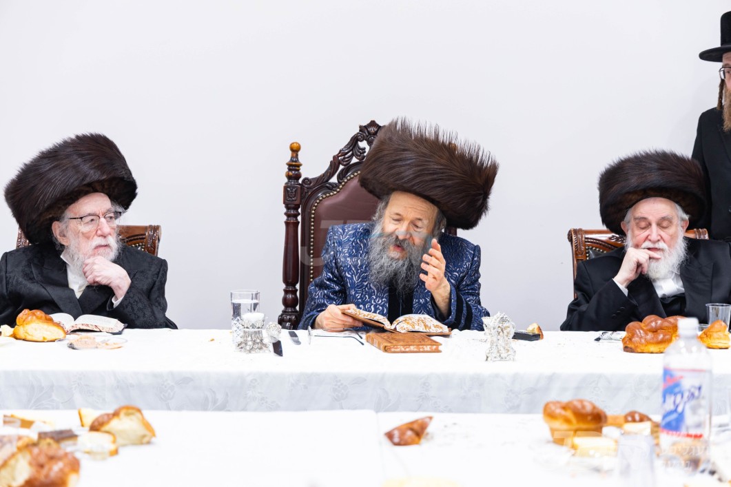 שמחת הברית פון אן אור אייניקל פון האדמו"ר מבאבוב-45