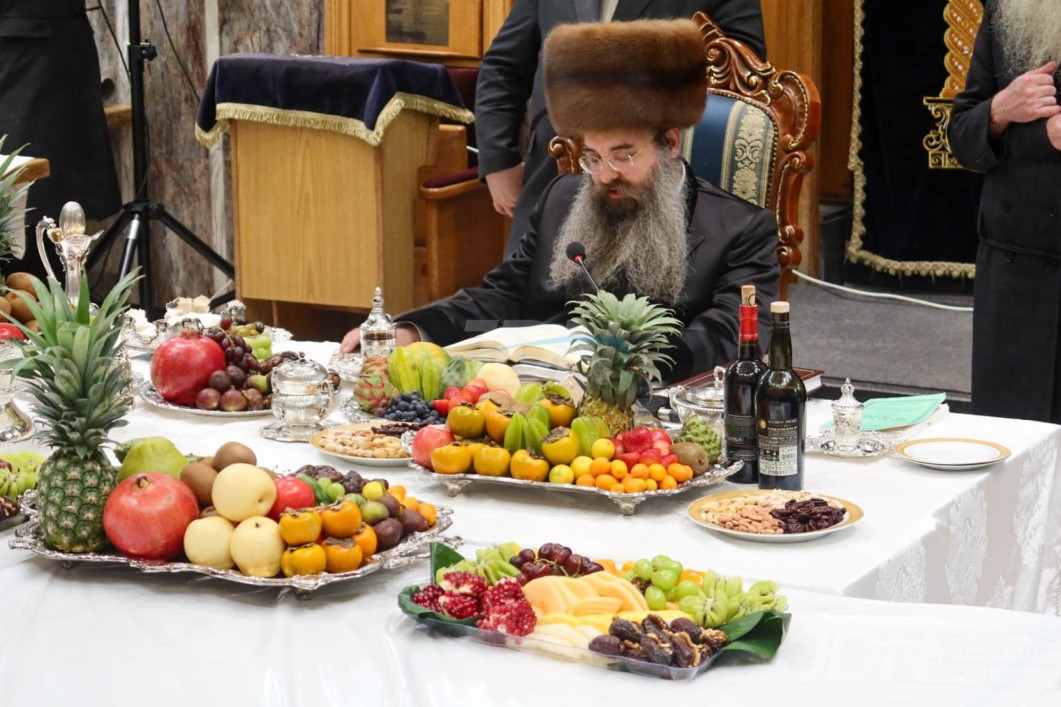 האדמו"ר מסאדיגורה ירושלים ביים חמשה עשר בשבט טיש