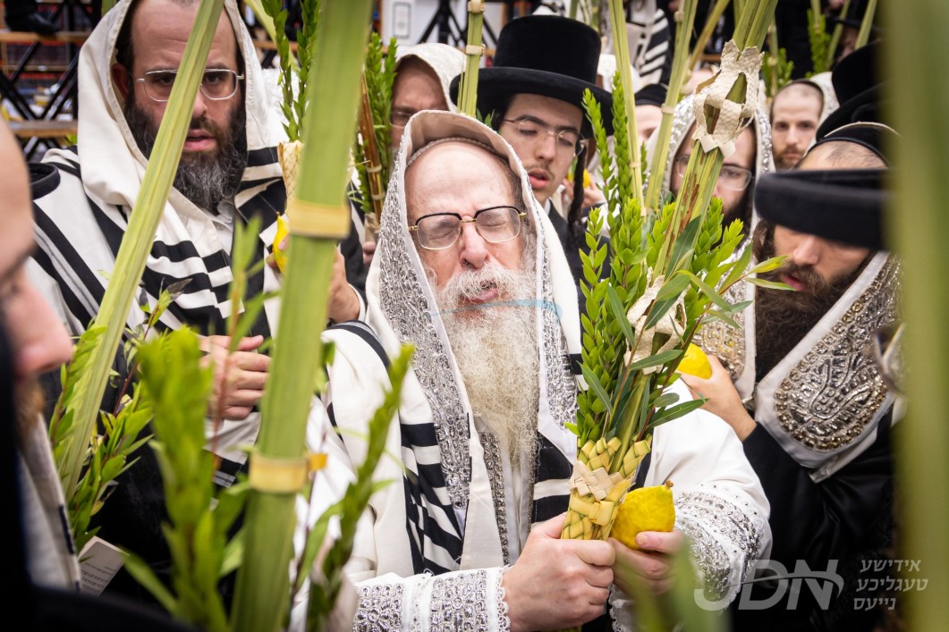 סוכות אין חצר הקודש צאנז קלויזענבורג