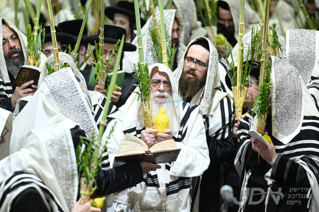 סוכות אין חצר הקודש צאנז