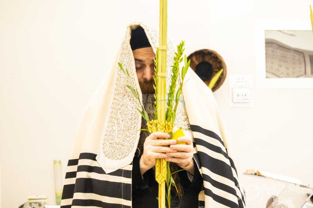 סוכות אין חצר הקודש אמשינאוו ארה&quot;ב