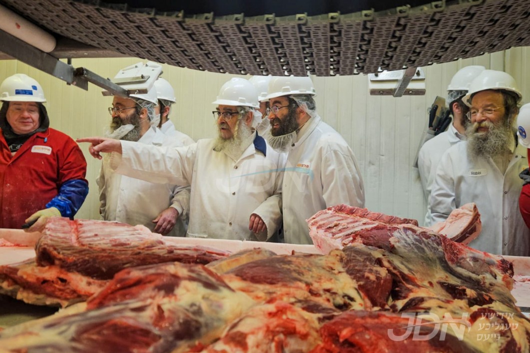 האדמו&quot;ר מסאטמאר באזוכט ביי די סאטמארע שחיטה אין אייאווע