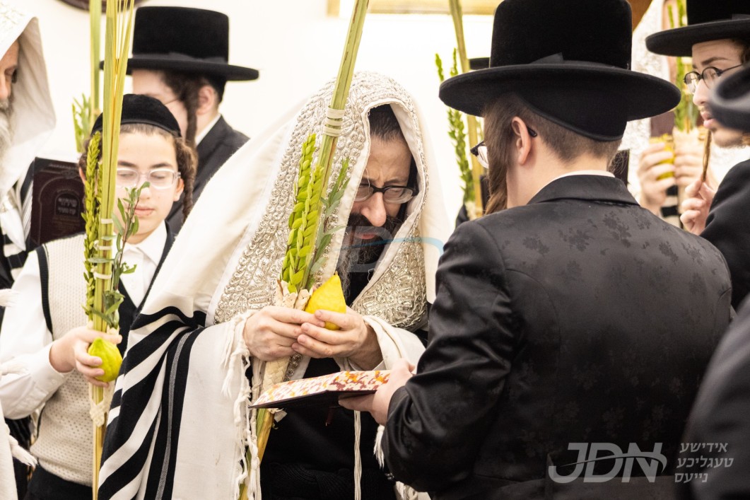 סוכות אין חצר הקודש סקולען