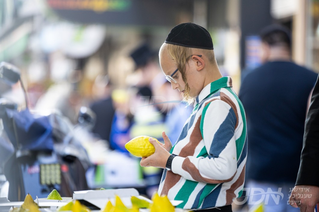 אידן אין בארא פארק ביים זיך גרייטן צום יום טוב סוכות
