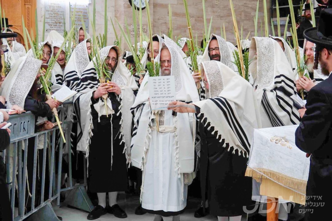 סוכות אין חצר הקודש סערט וויזניץ