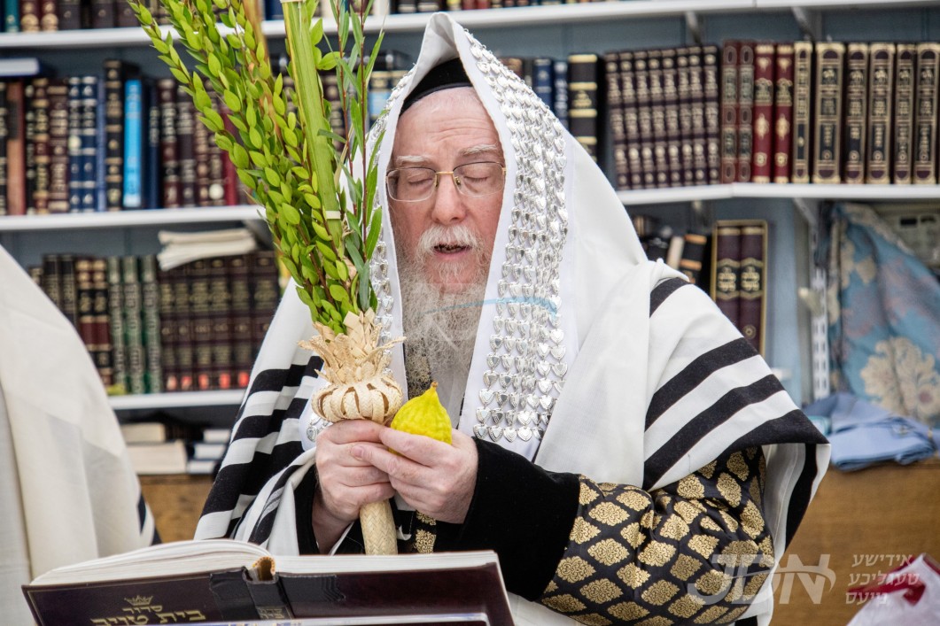 סוכות אין חצר הקודש רימינוב