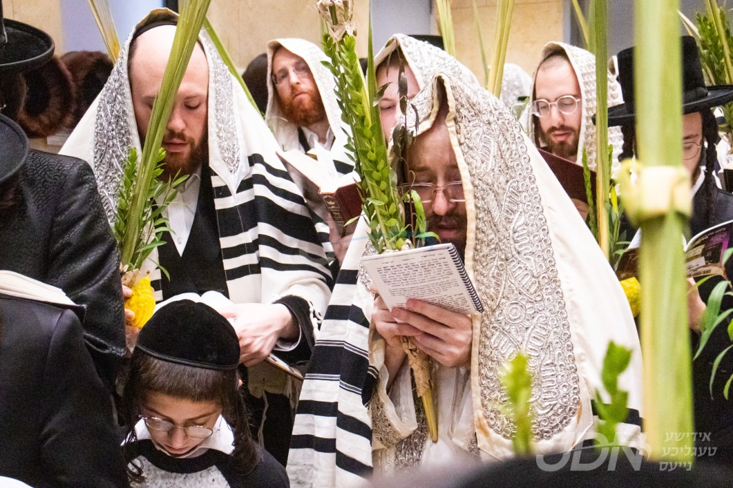 סוכות אין חצר הקודש קאסוב