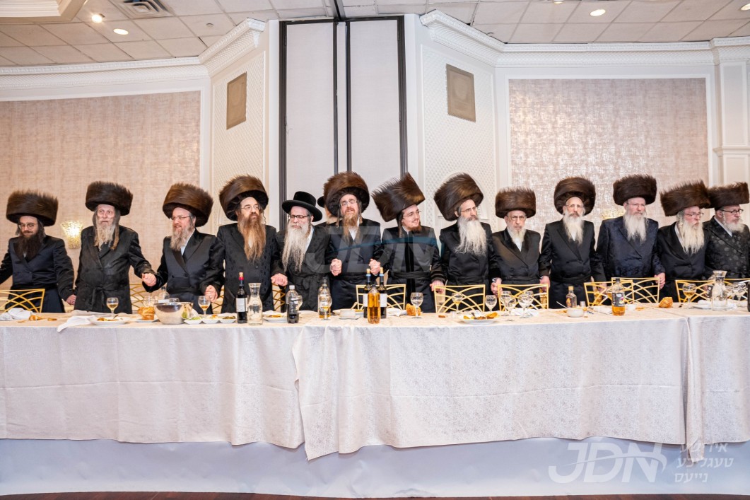 שמחת החתונה בבית זידיטשויב מארין פארק - קאלאמייא