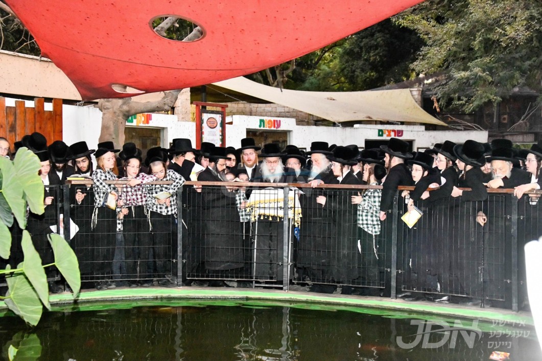 האדמו&quot;ר מנדבורנה ביי תשליך