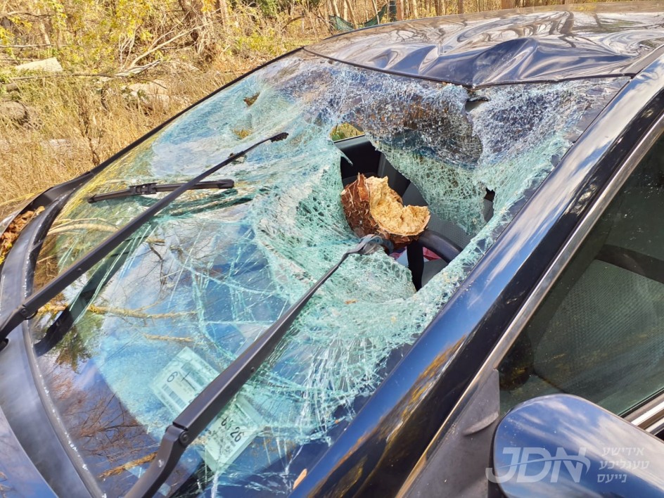 שרעקליכע טראגעדיע אין מאנסי, אינגערמאן נפטר געווארן רח&quot;ל נאכן באטראפן ווערן פון א בוים