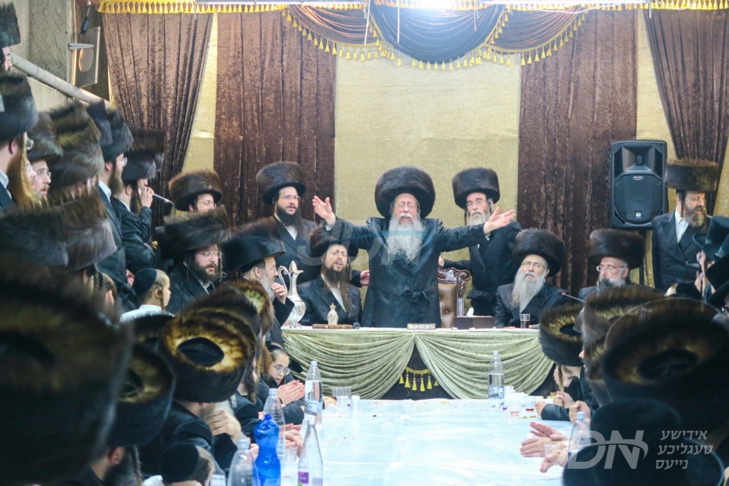 סוכות אין חצר הקודש שבט הלוי