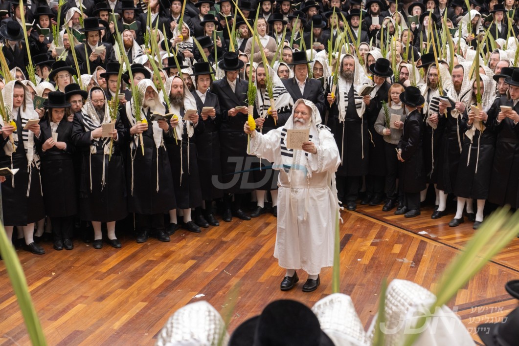 סוכות אין חצר הקודש באבוב